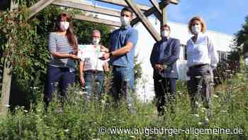 Grundstücke von Firmen im Landkreis Neu-Ulm sollen aufblühen