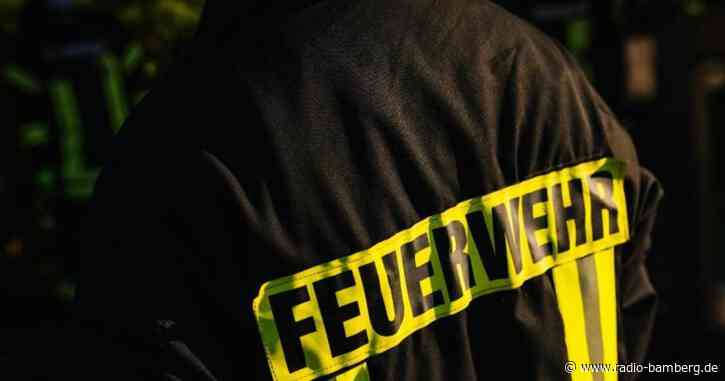 Feuerwehrmänner retten Uhu aus Wildzaun