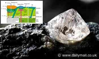 Earth's deepest diamonds are made up of former organisms, study finds
