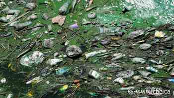 Millions in Syria, Iraq losing access to water, aid groups say