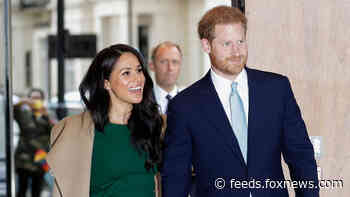 Meghan Markle, Prince Harry slammed by British TV presenter for over-exposure: 'Unreservedly uninterested'