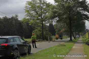Gewestweg tussen Retie en Geel krijgt bredere fietspaden
