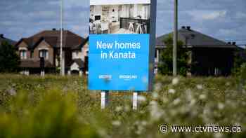 Pattie Lovett-Reid: What the parties are promising for homebuyers