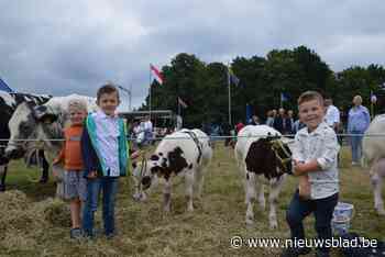 Cif, Dreft, klittenshampoo, stoommachine: alle middelen goed voor proper achterwerk op veeprijskamp Pulderbos