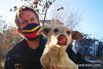 Pregnant Nowzad worker 'stuck in hell hole camp' after Kabul evacuation - Barrhead News