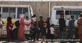 Pentagon Announces New US Location Where Afghan Refugees Will Be Sent