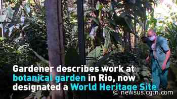 Gardener describes Rio botanical garden, now a World Heritage Site - CGTN