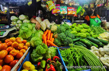 No early relief seen for veggie price spike | Jasper Y. Arcalas - Business Mirror