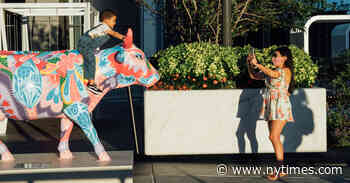 Cow Parade Returns to N.Y.C., but Please Don’t Steal Them This Time