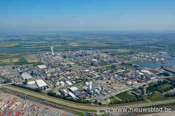Plannen voor nieuwe fabriek bij BASF (Berendrecht-Zandvliet-Lillo) - Het Nieuwsblad
