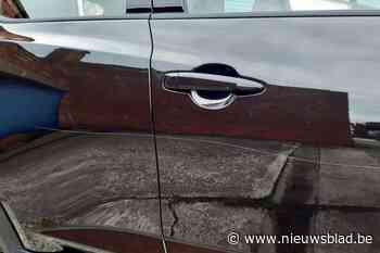 Acht bewoners in buurt aan Vrijbroekpark vinden auto bekrast terug