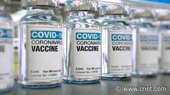 COVID-19 boosters and the delta variant: What you need to know video     - CNET