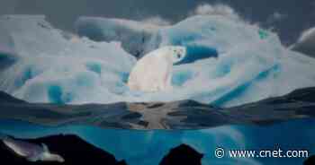 Grimes, Bon Iver and others want music to shock you awake to climate crisis     - CNET