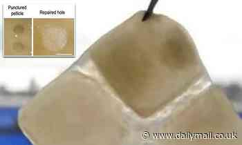 'Living' building materials containing genetically modified bacteria can detect damage and self-heal