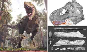 Fossils: T. rex had complex nerve sensors in the tips of its jaws, study finds