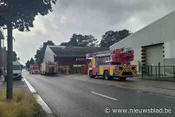 Brandweer rukt massaal uit na brandmelding in houthandel - Het Nieuwsblad
