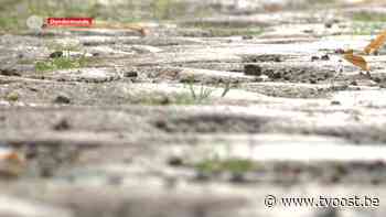 1ste fase restauratie historische Sint-Alexiusbegijnhof in Dendermonde afgerond - TV Oost