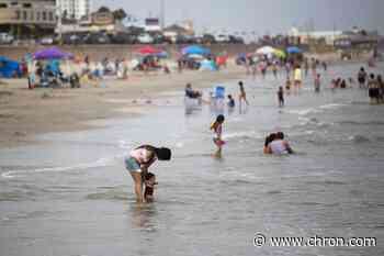 Galveston City Council votes to ban balloon releases to protect local wildlife