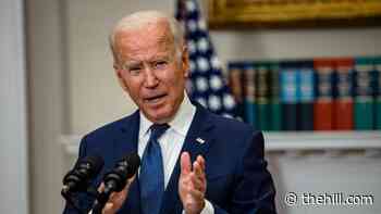 Biden to decide on Afghanistan troop withdrawal extension in next 24 hours: report