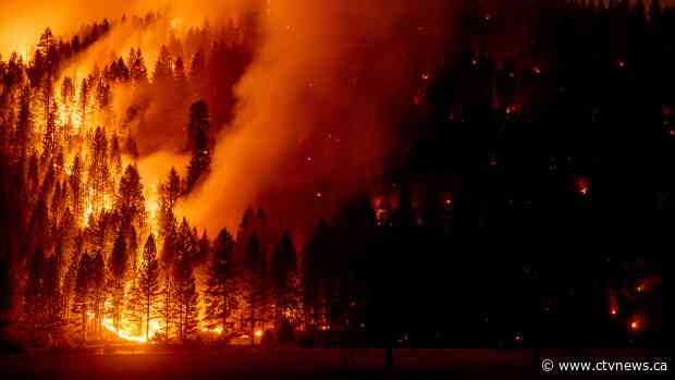 Wildfire smoke exposure during pregnancy linked to preterm birth, Stanford study suggests