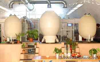 Bruno Breillet at Casa De Madre | What's On | London On The Inside - London On The Inside