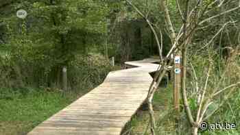 Hoboken heeft er een stukje groen bij - ATV