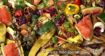 UK: Food waste reaches pre-pandemic levels after recorded slump - Waste Management World