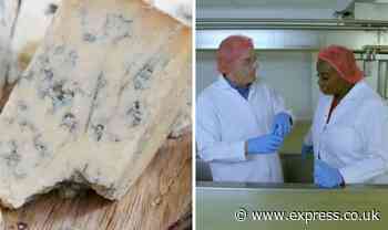 Food unwrapped: How blue cheese is really made - ‘fascinating’ process takes 12 weeks - Daily Express