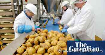 Food for thought as labour shortage bites - The Guardian