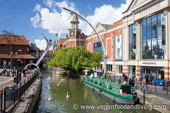 A vegan guide to Lincoln: Where to find vegan food - Vegan Food and Living