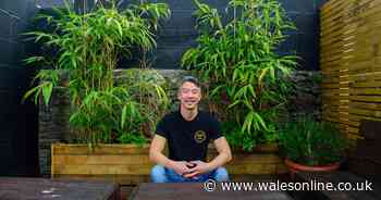 The Brother Thai story: From street food stalwarts to opening their wildly popular Cardiff roti bar - Wales Online