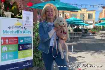 Abuse Hurts pop-up coming to Aurora's newly revamped Machell's Alley - NewmarketToday.ca
