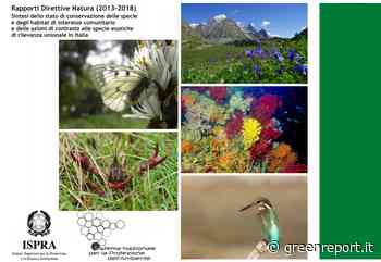 Rapporto Ispra sulla biodiversità in Italia: «Ancora a rischio specie e habitat marini e terrestri» - Greenreport: economia ecologica e sviluppo sostenibile - Greenreport: economia ecologica e sviluppo sostenibile