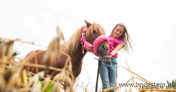 Experimentelers halen eerste oogst van het land bij de boer: 'Dit maak je bewust van ons voedsel' - BN DeStem