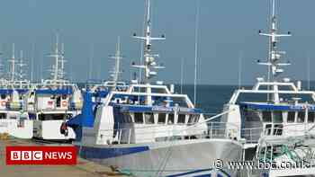 Mozambique 'tuna bond' scandal: Ex-President Guebuza's son on trial