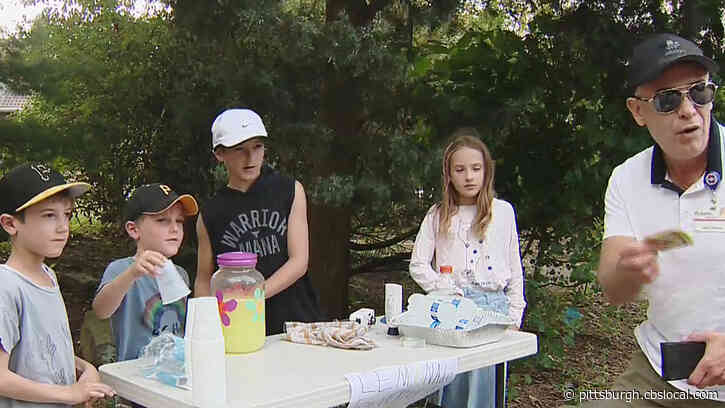 Local Kids Set Up Shop, Sell Lemonade In Squirrel Hill