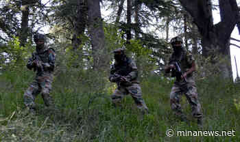 Pasukan India Bunuh Tiga Warga Kashmir di Srinagar - Kantor Berita MINA - minanews