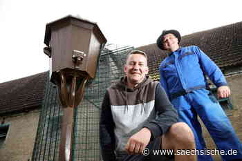 Riesa: Riesas Schäfer geht unter die Taubenzüchter - Sächsische.de