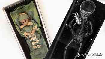 Riesa: Das Scheren-Rätsel der Kindermumie | Regional - BILD