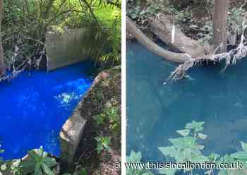 'Business is potential source of suspected river pollution' - says environment agency