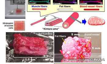 World's first 3D-printed WAGYU BEEF is revealed - with marbling just like the real deal 