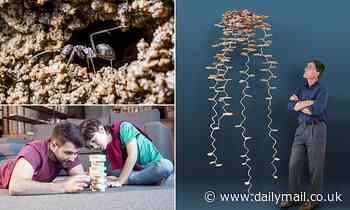 Nature: Ants dig their nests by looking for loose grains of soil to remove - like playing Jenga