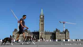 Election watch: The major parties' early days