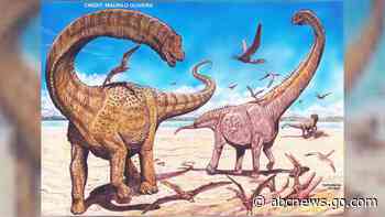 Fossil leaves may reveal climate in last era of dinosaurs