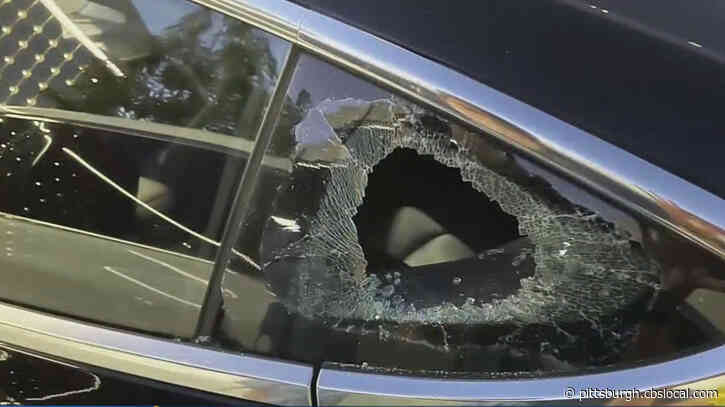 Tesla Owners Say Their Cars Increasingly Targeted for Break-Ins