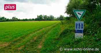 Mehr Schutz für die Tongruben bei Heppenheim - Echo Online