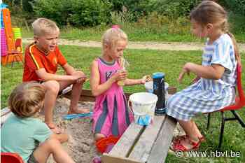 Gezellig buurtfeest Gulden wijk - Het Belang van Limburg