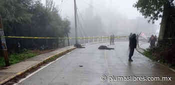 Atacan a policías en Astacinga, matan a dos - plumas libres