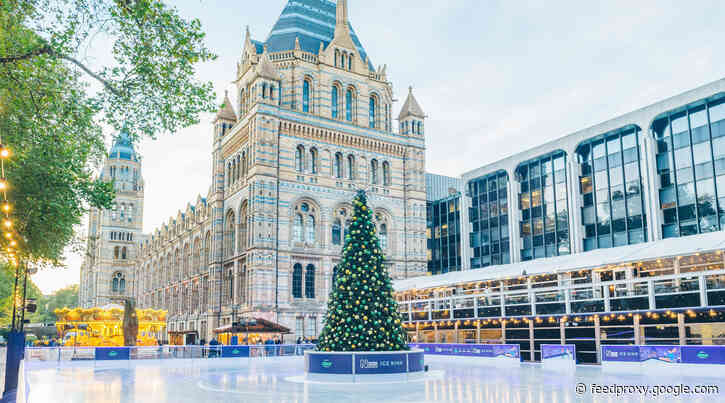 Last ever ice rink at the Natural History Museum this winter