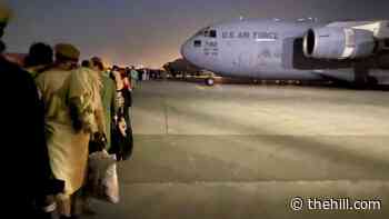DHS to allow some Afghans to enter US without formal visas
